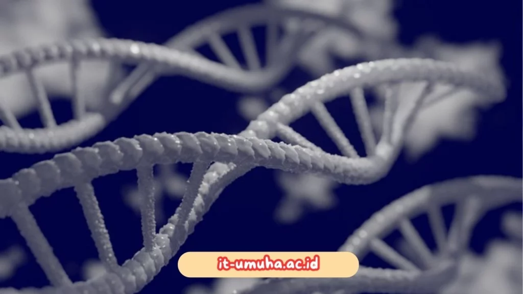 Biologi-Molekuler