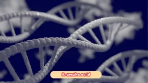 Biologi-Molekuler