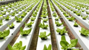 jurusan-agroteknologi