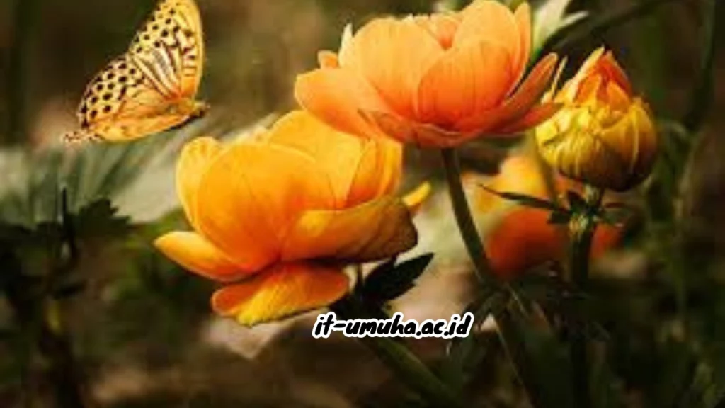 Fungsi-Benang-Sari-pada-Bunga